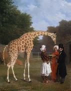 Jacques-Laurent Agasse The Nuian Giraffe (mk25) oil
